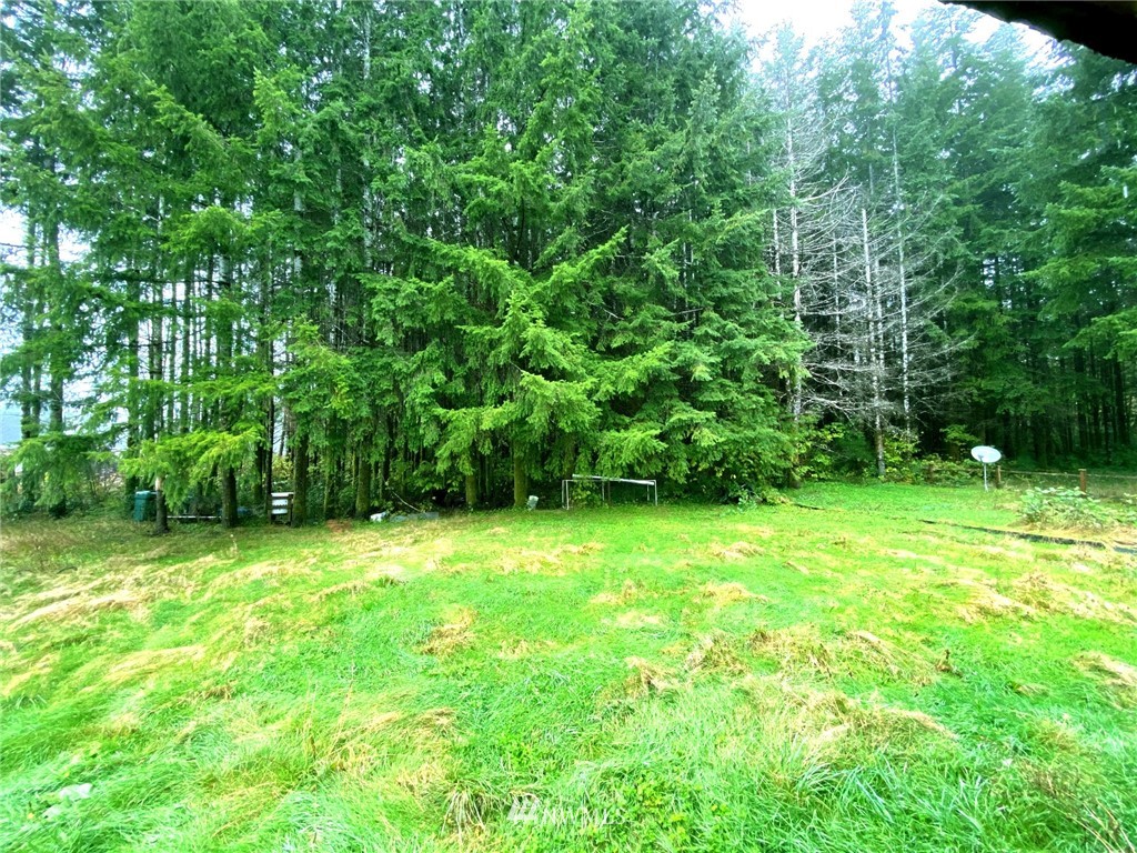 69 Mcafee Road Humptulips, WA 98552 - Photo 12 of 12 Gallery Image 12