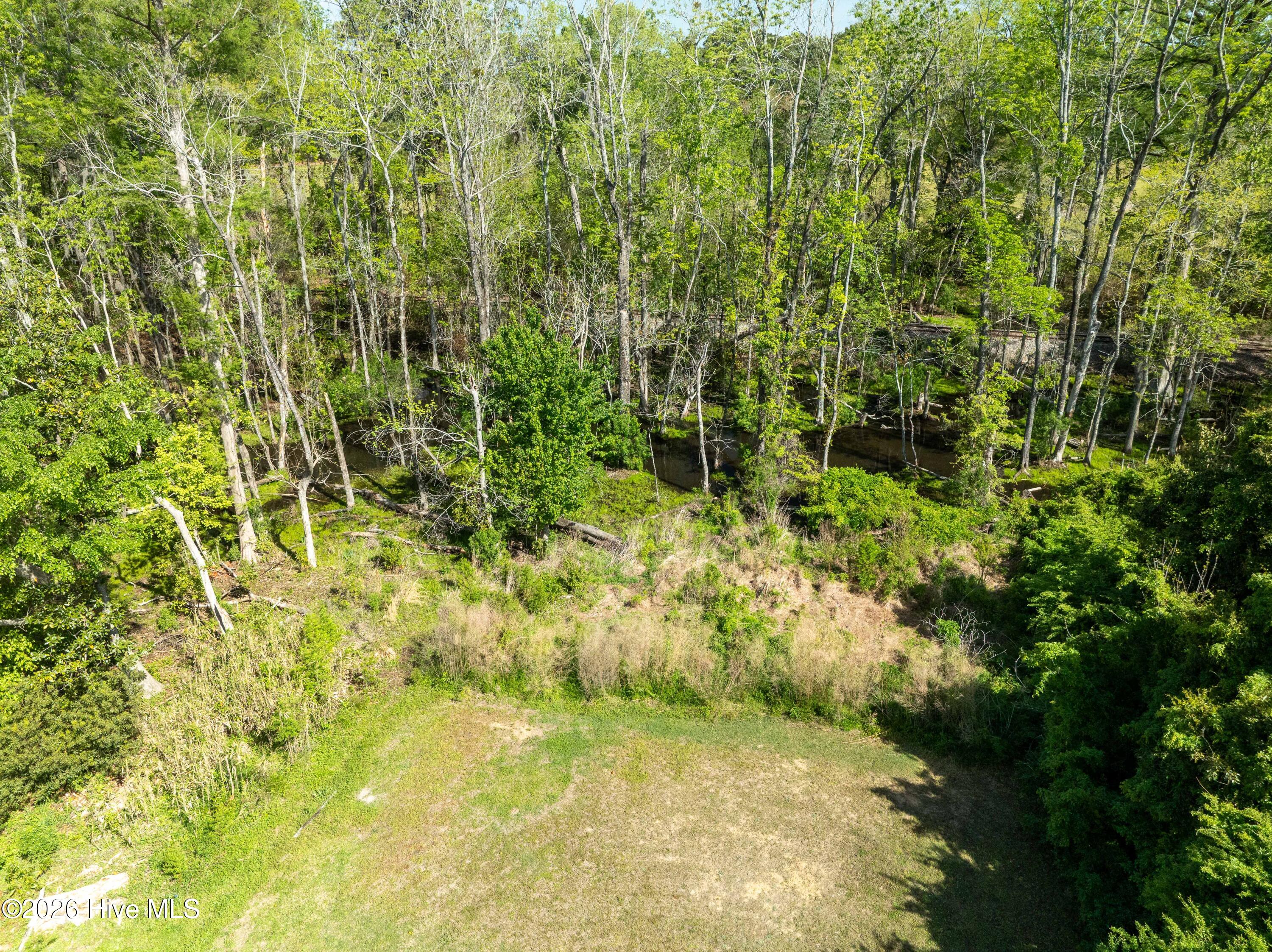 322 River Road Washington, NC 27889 - Photo 35 of 37 Back Yard
