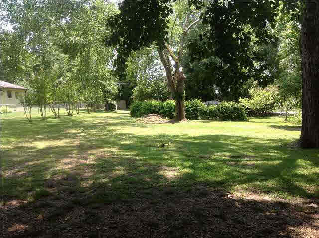 254 Cedar Ridge Drive Madison, MS 39110 - Photo 16 of 17 road side yard