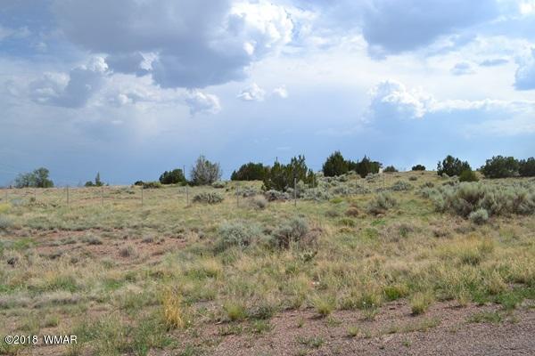 Lot 20 Tanner Lane Snowflake, AZ 85937 - Photo 1 of 14