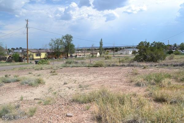 Lot 20 Tanner Lane Snowflake, AZ 85937 - Photo 11 of 14