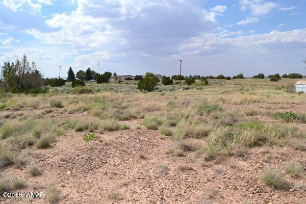 Lot 20 Tanner Lane Snowflake, AZ 85937 - Photo 12 of 14