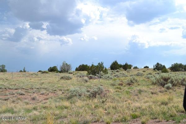 Lot 20 Tanner Lane Snowflake, AZ 85937 - Photo 13 of 14