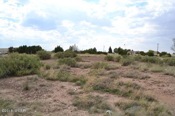 Lot 20 Tanner Lane Snowflake, AZ 85937 - Photo 2 of 14