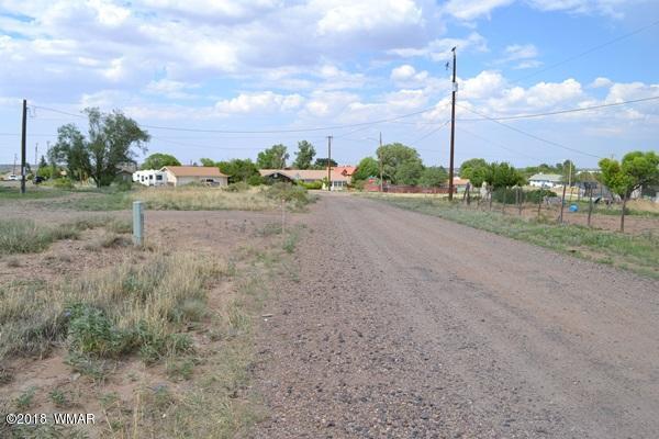 Lot 20 Tanner Lane Snowflake, AZ 85937 - Photo 3 of 14