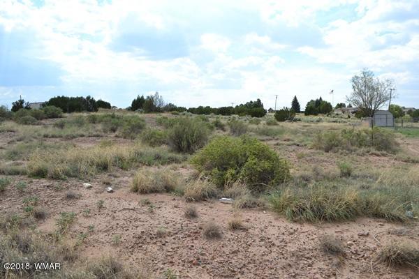 Lot 20 Tanner Lane Snowflake, AZ 85937 - Photo 4 of 14