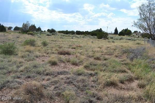 Lot 20 Tanner Lane Snowflake, AZ 85937 - Photo 5 of 14