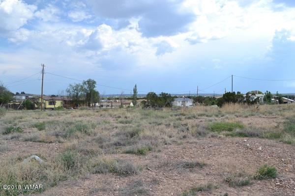 Lot 20 Tanner Lane Snowflake, AZ 85937 - Photo 6 of 14