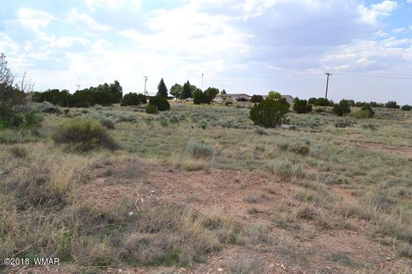 Lot 20 Tanner Lane Snowflake, AZ 85937 - Photo 7 of 14