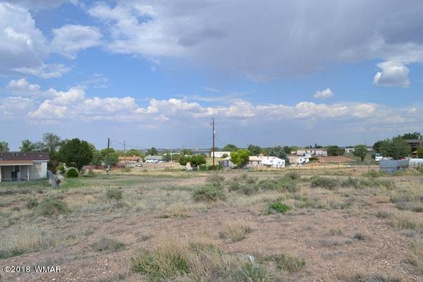 Lot 20 Tanner Lane Snowflake, AZ 85937 - Photo 9 of 14