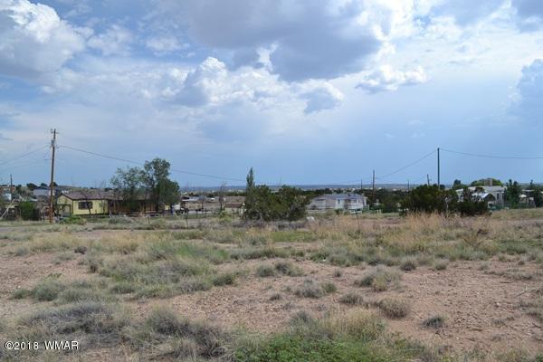 Lot 20 Tanner Lane Snowflake, AZ 85937 - Photo 10 of 14
