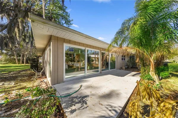 a view of a backyard with plants and large trees
