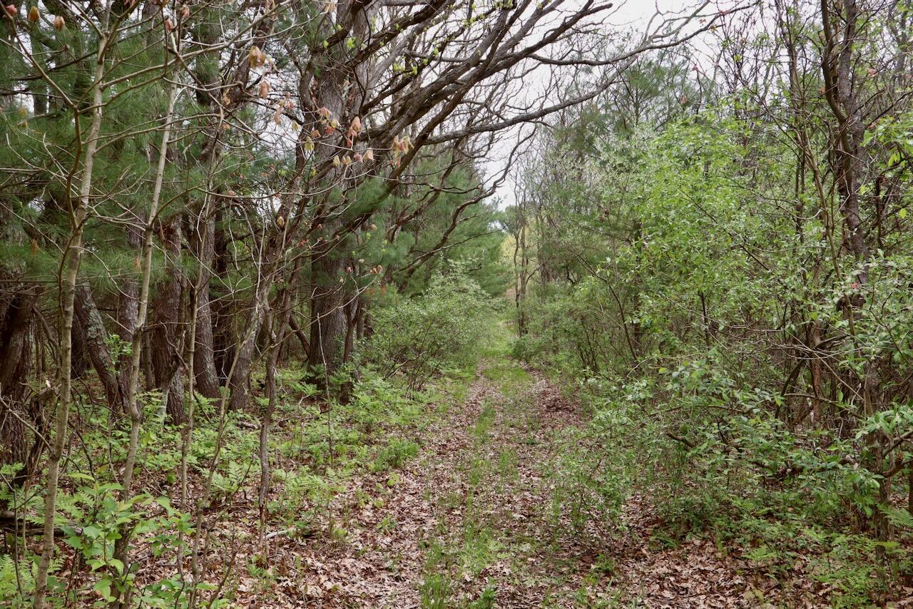 6153 South Branch Road Branch, MI 49402 - Photo 48 of 70 41