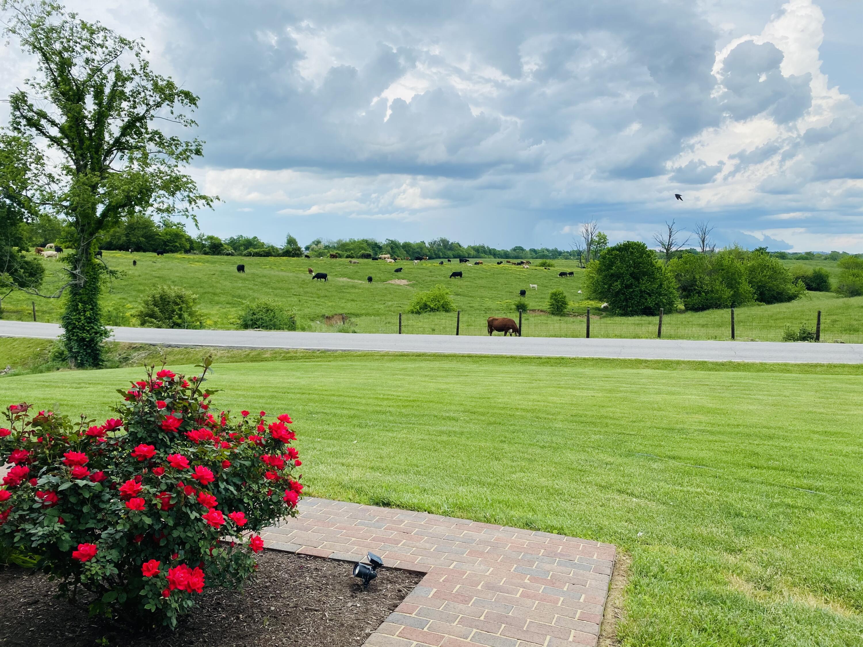 2048 Osborne Road Mount Sterling, KY 40353 - Photo 50 of 53 IMG_6962