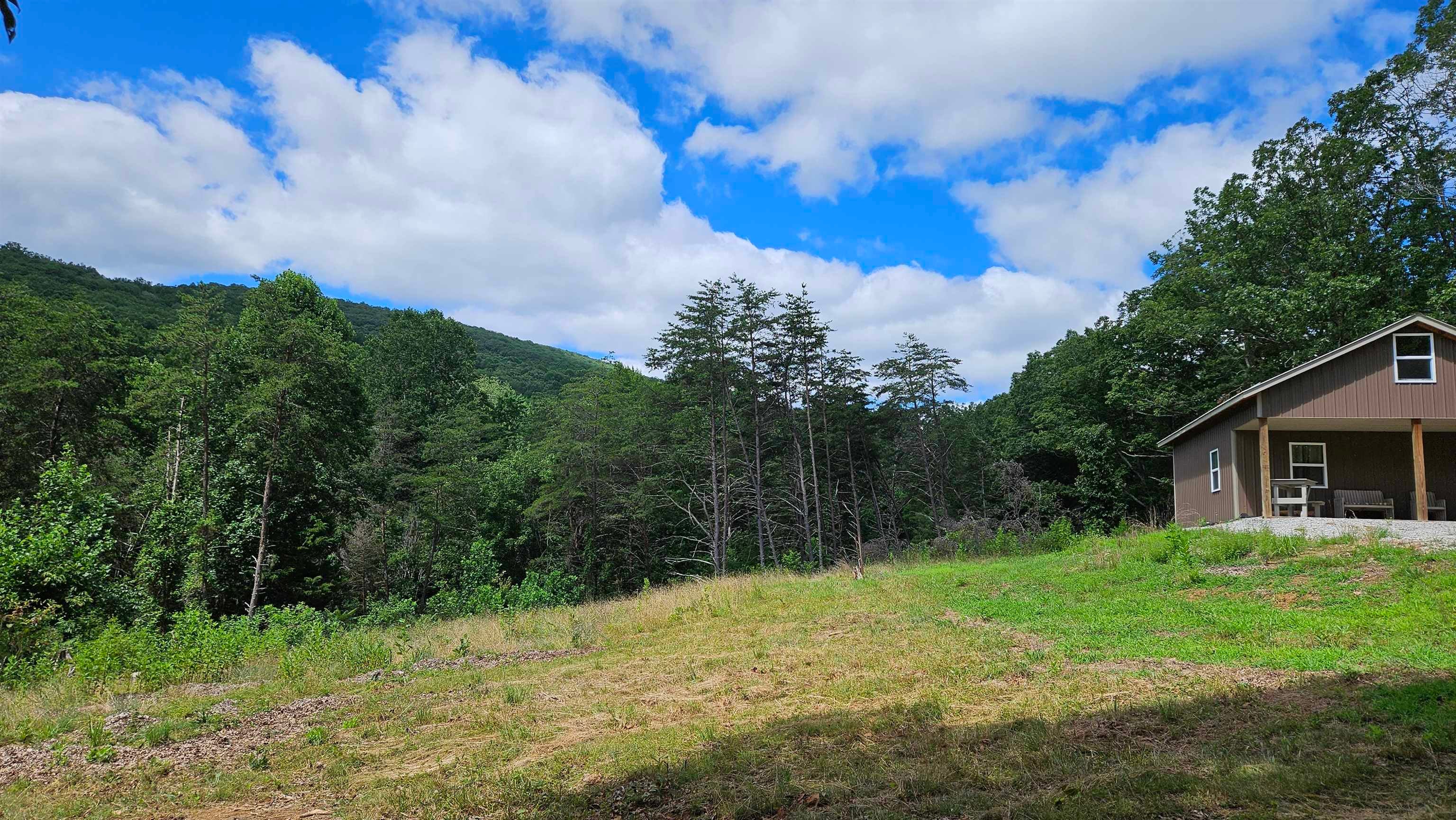 Tbd Reesedale Road Elliston, VA 24087 - Photo 28 of 35 Gallery Image 28