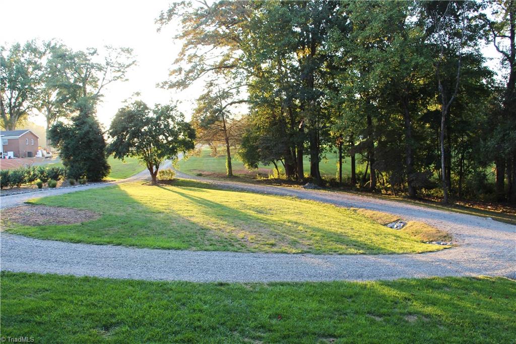 7756 Robinson Road Summerfield, NC 27358 - Photo 3 of 31 Driveway