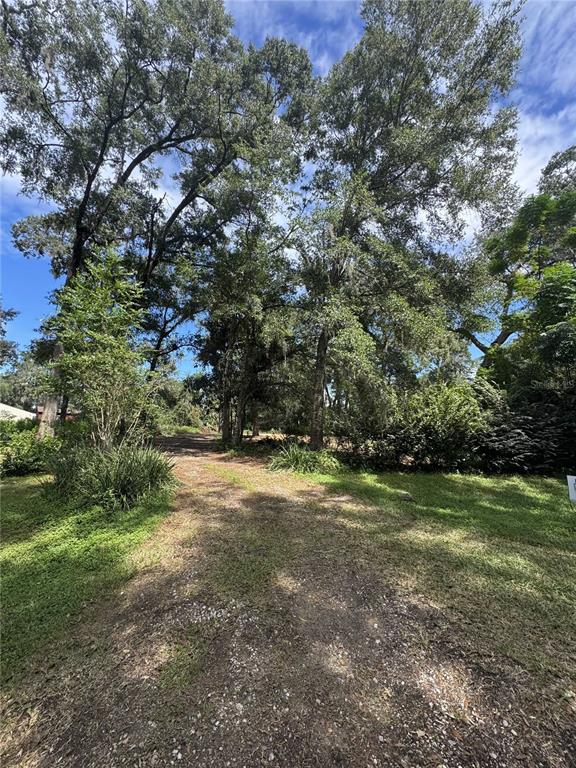 2375 Southeast 39th Street Ocala, FL 34480 - Photo 3 of 10 a view of a field with trees