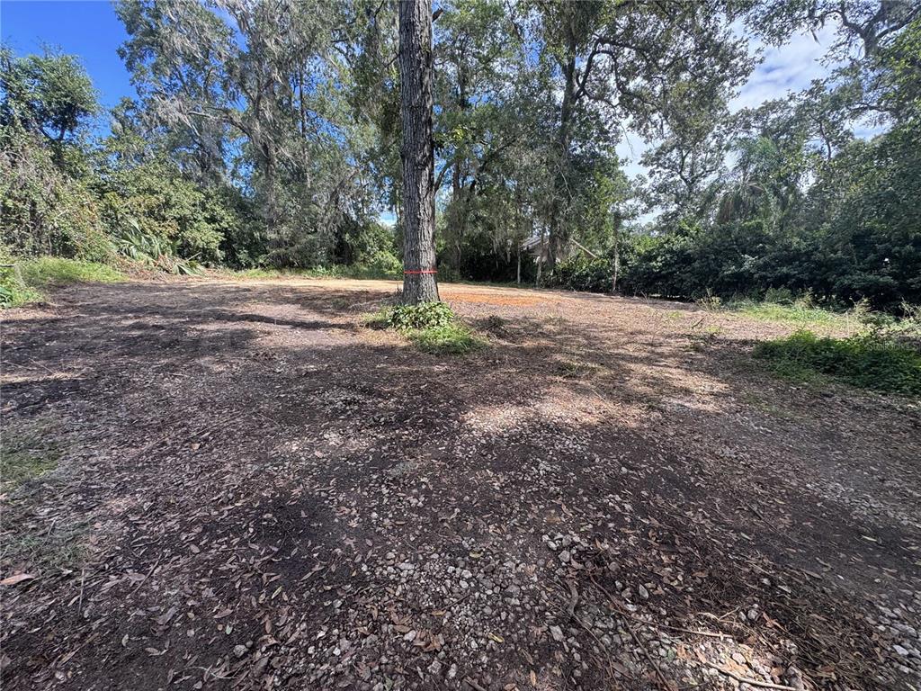 2375 Southeast 39th Street Ocala, FL 34480 - Photo 5 of 10 a view of a yard with a tree