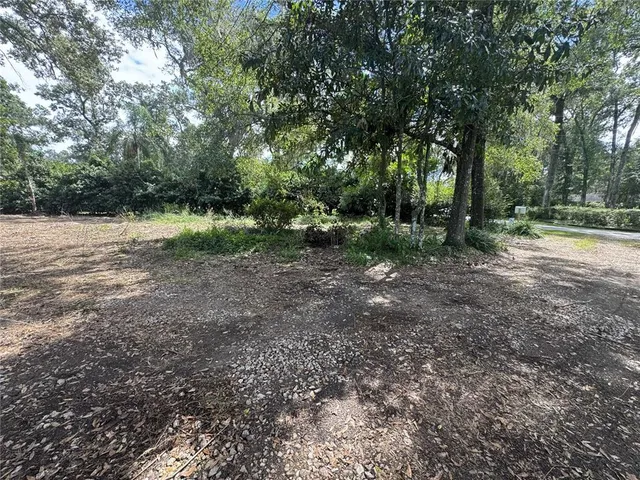a view of a yard with trees in the background