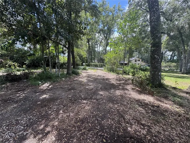 a view of a forest with trees