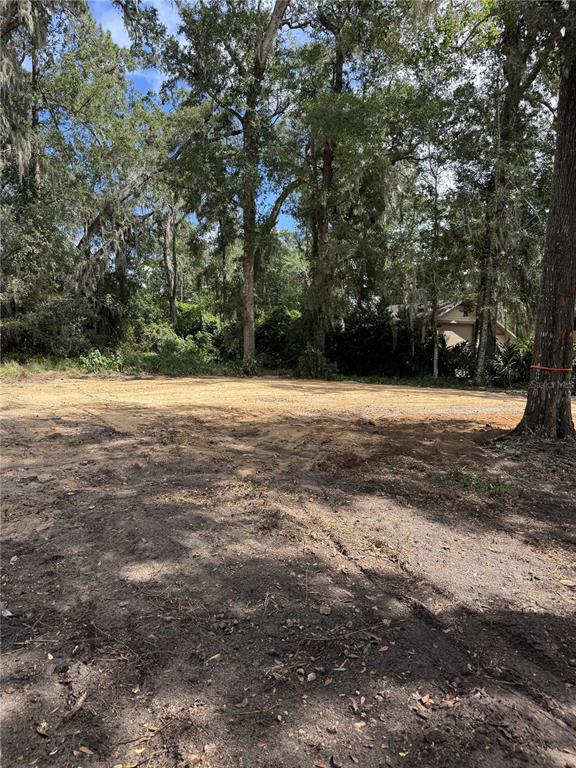 2375 Southeast 39th Street Ocala, FL 34480 - Photo 8 of 10 a backyard of a house with lots of green space