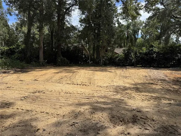 a view of a yard with trees