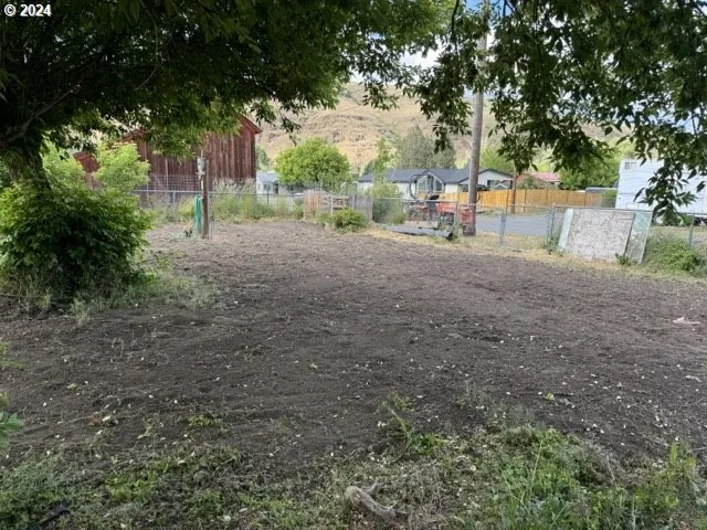 a view of a yard with a tree