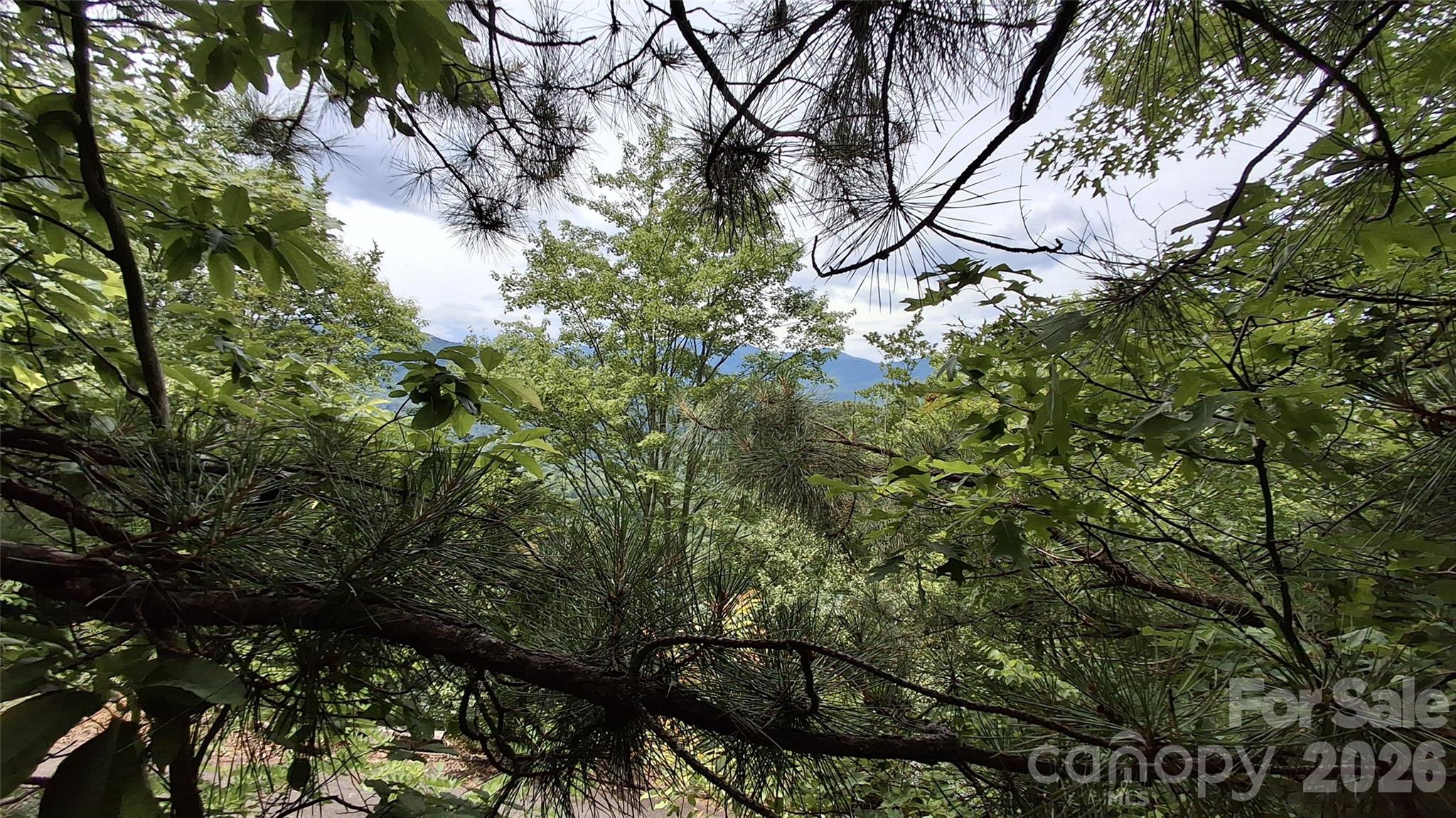 77 Kako Ridge, Unit 57 Sylva, NC 28779 - Photo 13 of 19