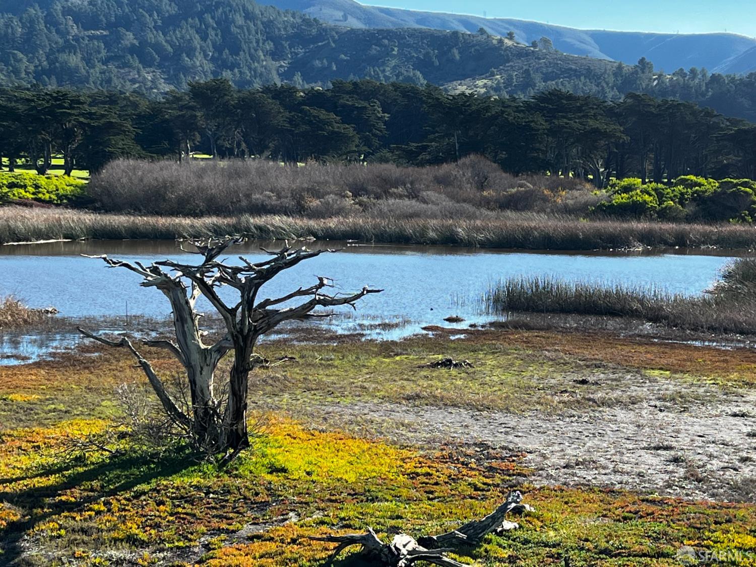316 Seaside Drive Pacifica, CA 94044 - Photo 36 of 37