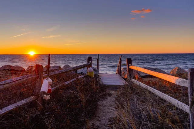 a view of a house with a yard and a large tree