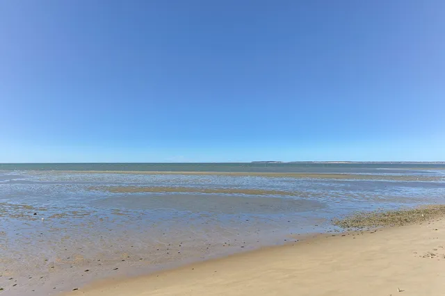 a view of beach and ocean