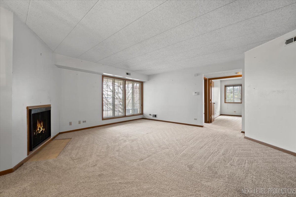 1258 Chalet Road, Unit 201 Naperville, IL 60563 - Photo 11 of 31 Gallery Image 11