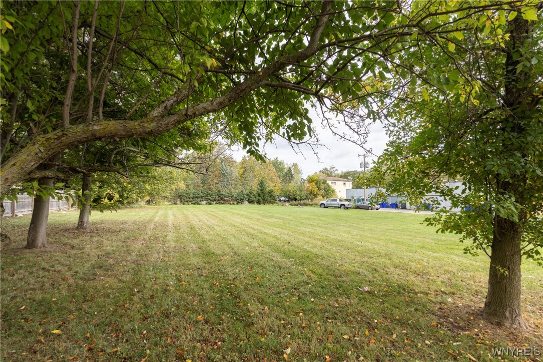 20 Pheasant Run Road Amherst, NY 14228 - Photo 3 of 11