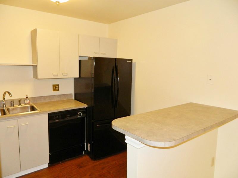 1011 Kenzie Road Pittsburgh, PA 15205 - Photo 10 of 25 Kitchen.