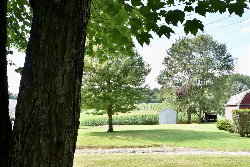 123 Tiger Road Evans City, PA 16033 - Photo 6 of 28 Gallery Image 6