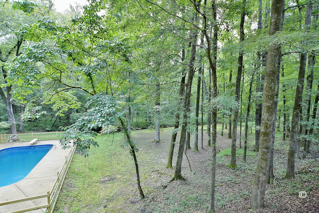 7132 Lynch Road Midland, GA 31820 - Photo 29 of 34