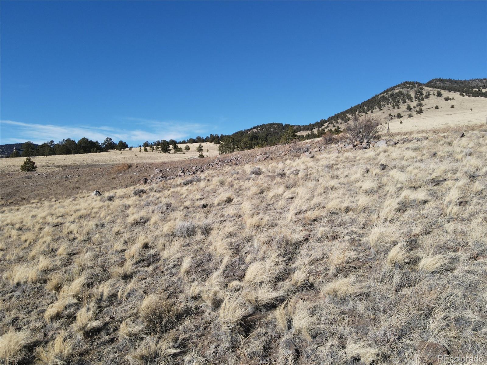 341 Lakeview Trail Guffey, CO 80820 - Photo 11 of 17