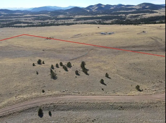 a view of a dry yard