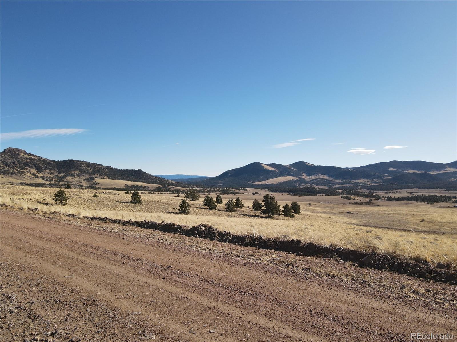 341 Lakeview Trail Guffey, CO 80820 - Photo 8 of 17 a view of mountain with outdoor space