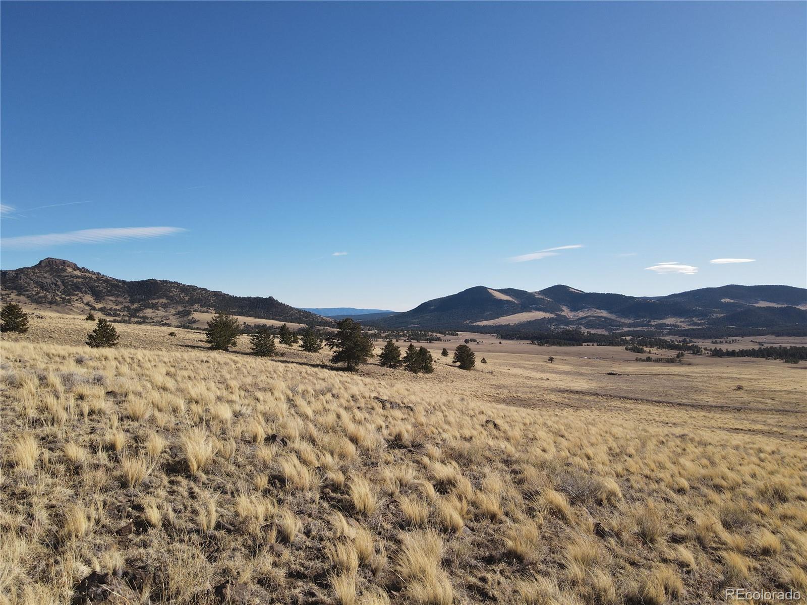 341 Lakeview Trail Guffey, CO 80820 - Photo 9 of 17 a view of mountain with outdoor space
