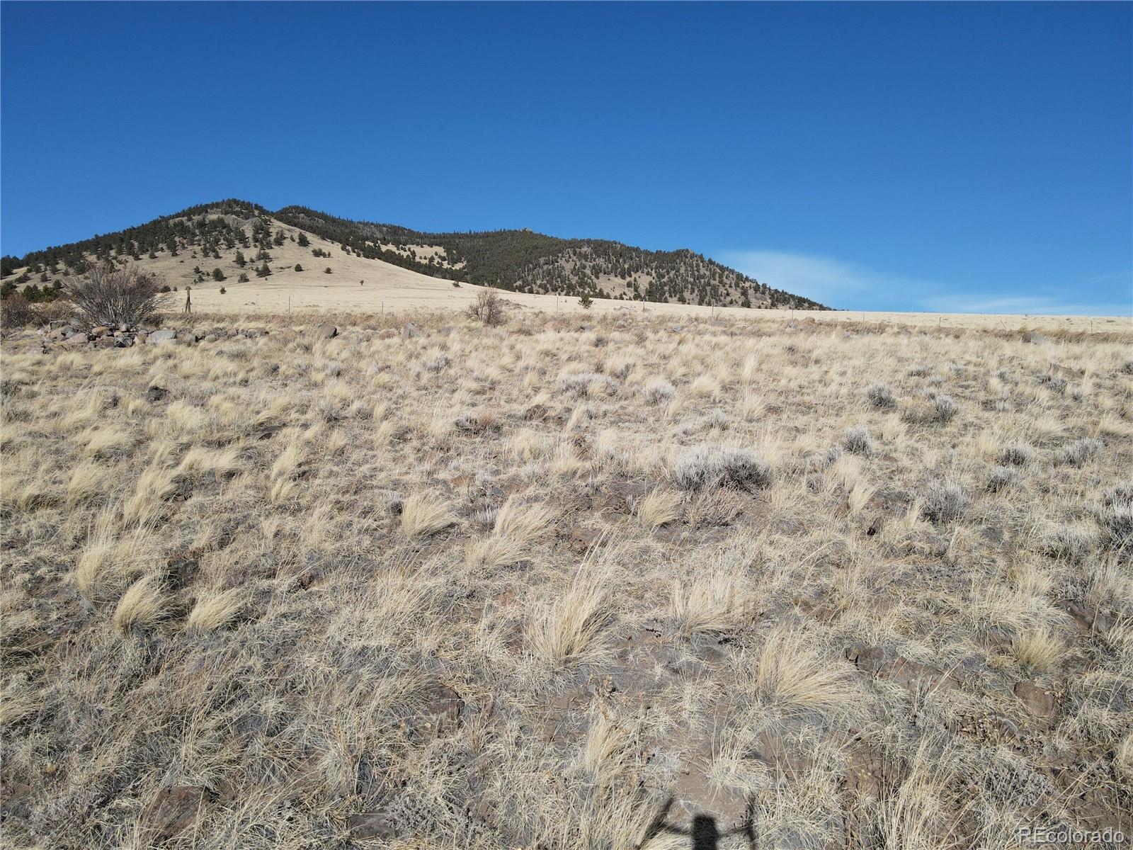 341 Lakeview Trail Guffey, CO 80820 - Photo 10 of 17 a view of a dry space with mountain in the background