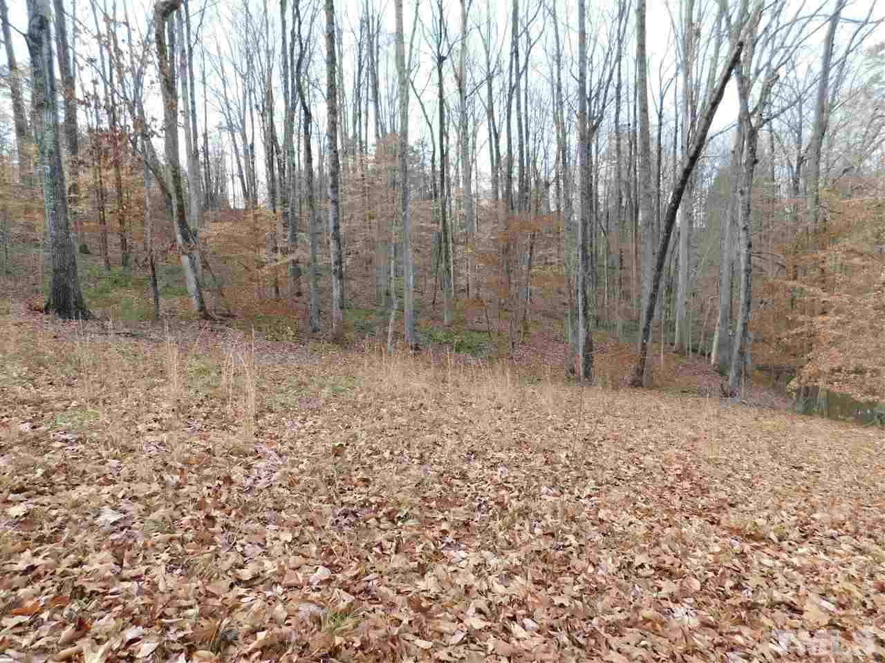 1575 Wilson Road Prospect Hill, NC 27314 - Photo 6 of 9 a backyard of a house with lots of green space