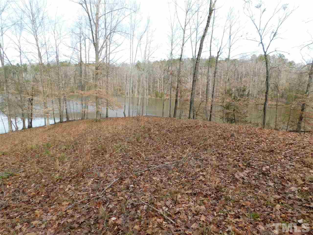 1575 Wilson Road Prospect Hill, NC 27314 - Photo 7 of 9 a view of backyard with trees