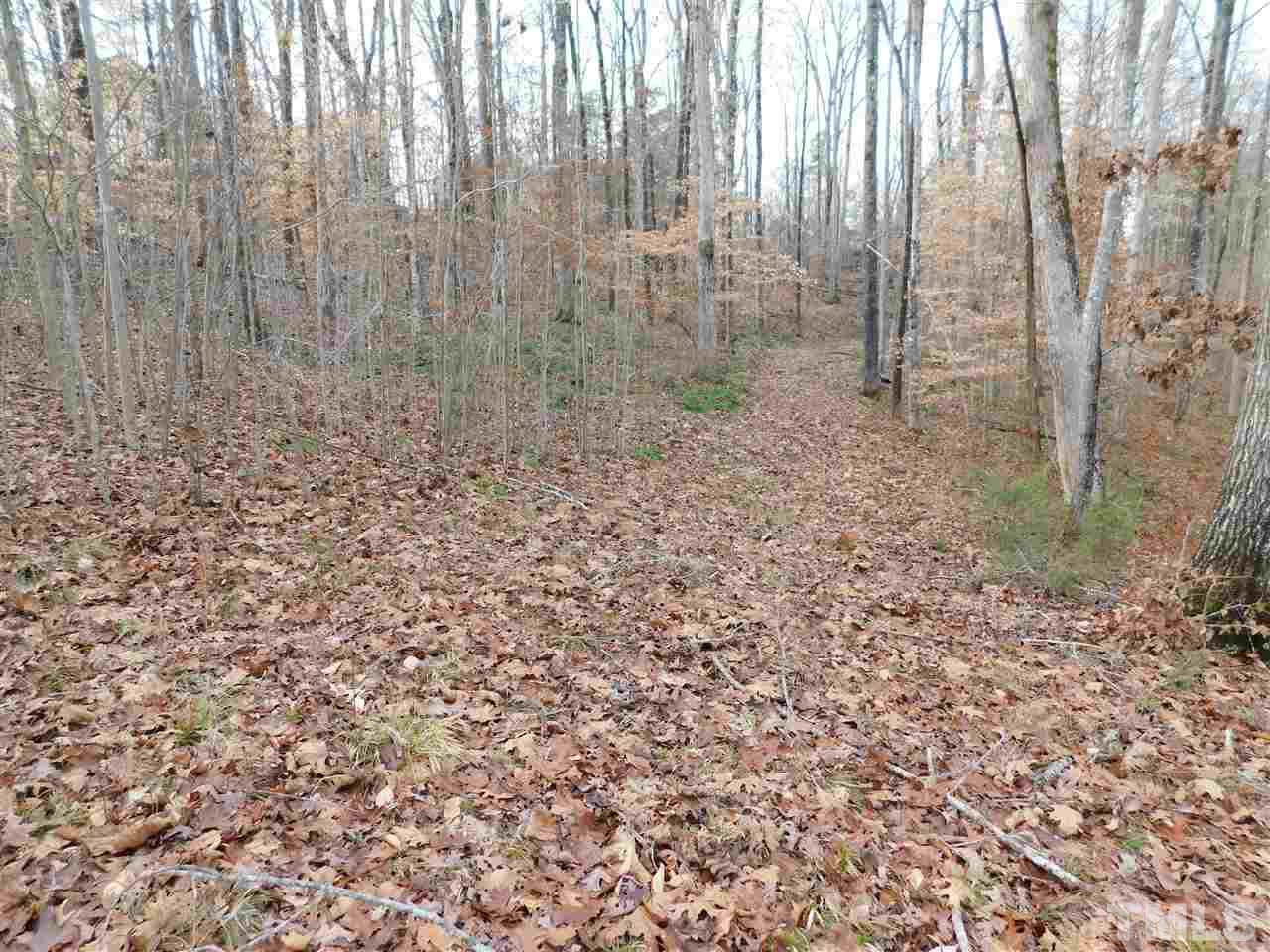 1575 Wilson Road Prospect Hill, NC 27314 - Photo 8 of 9 a view of a yard with trees in the background