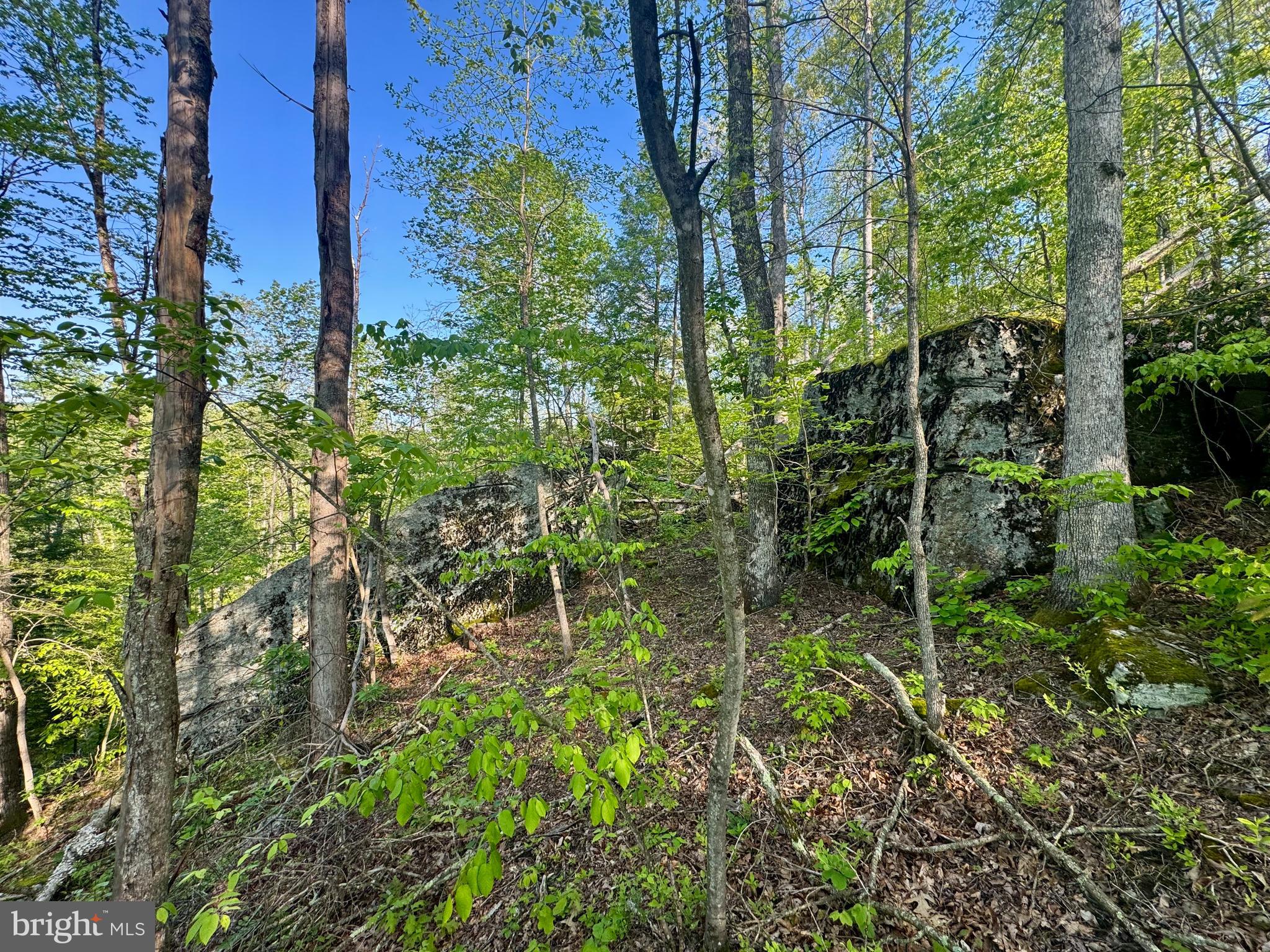 John Orr Road Independence, WV 26374 - Photo 25 of 37