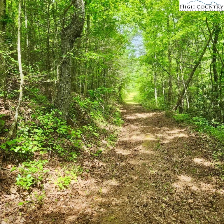 1799 High Country Road Lenoir, NC 28645 - Photo 25 of 50 Gallery Image 25
