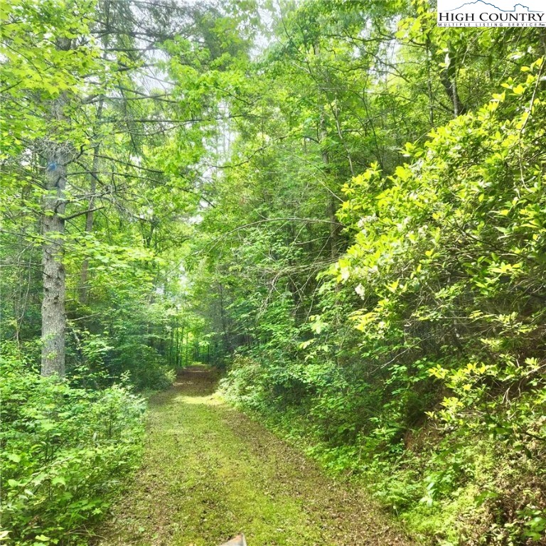 1799 High Country Road Lenoir, NC 28645 - Photo 26 of 50 Gallery Image 26