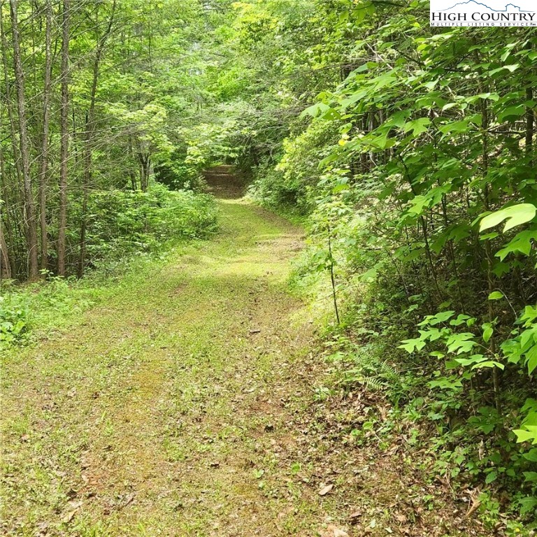 1799 High Country Road Lenoir, NC 28645 - Photo 27 of 50 Gallery Image 27