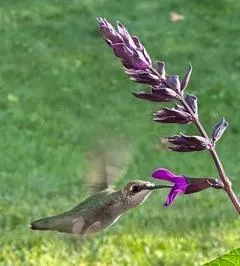 $5,000 | 139 Otis Avenue, St. Paul, MN 55104