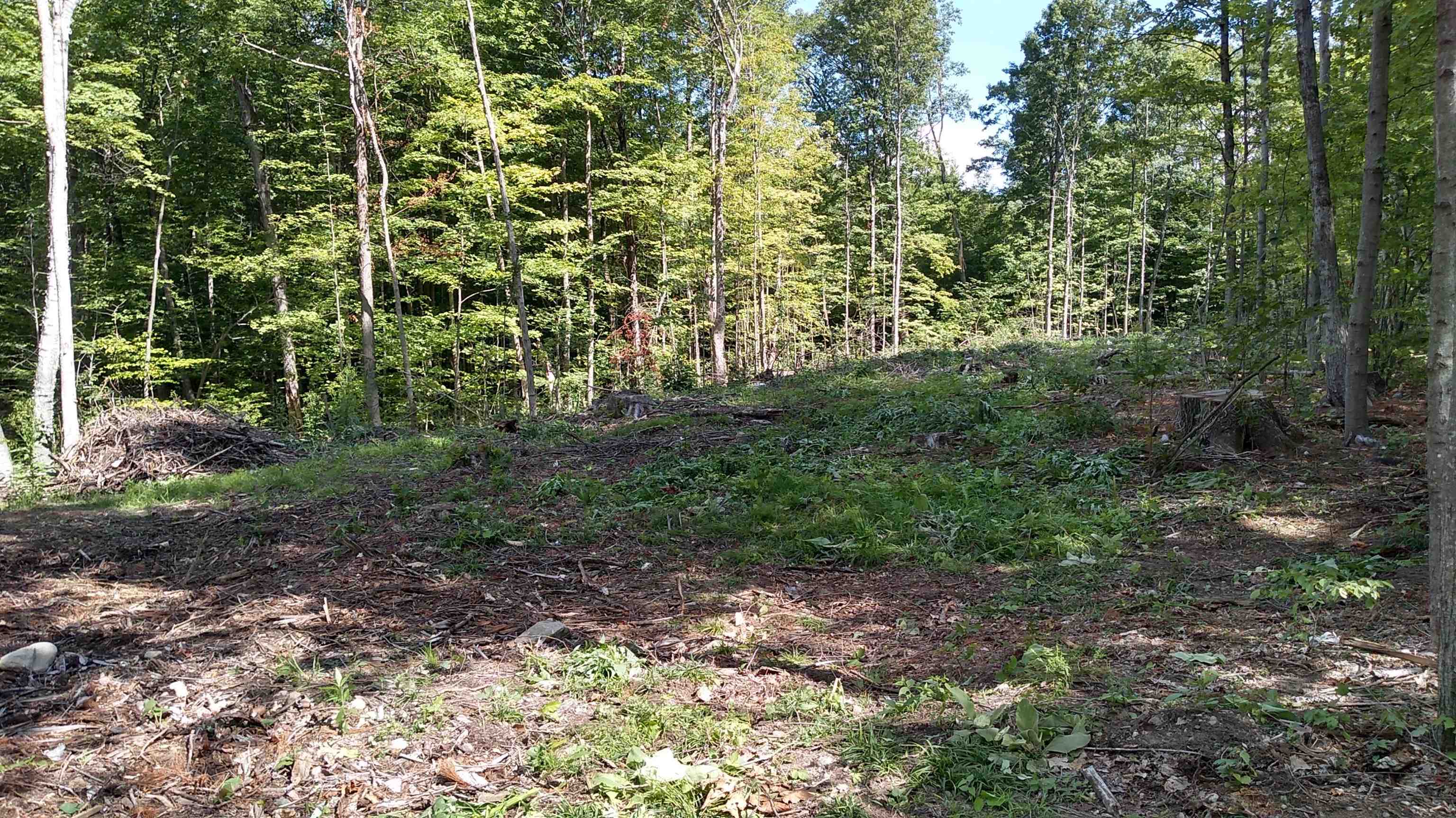Tbd Lower Plains Road, Unit 4 Salisbury, VT 05769 - Photo 1 of 9